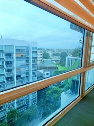 Blk 167B Parc Lumiere (Tampines), HDB 4 Rooms #484745341